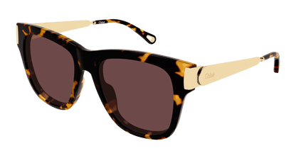 Chloé CH0349S Havana 003 889652645889