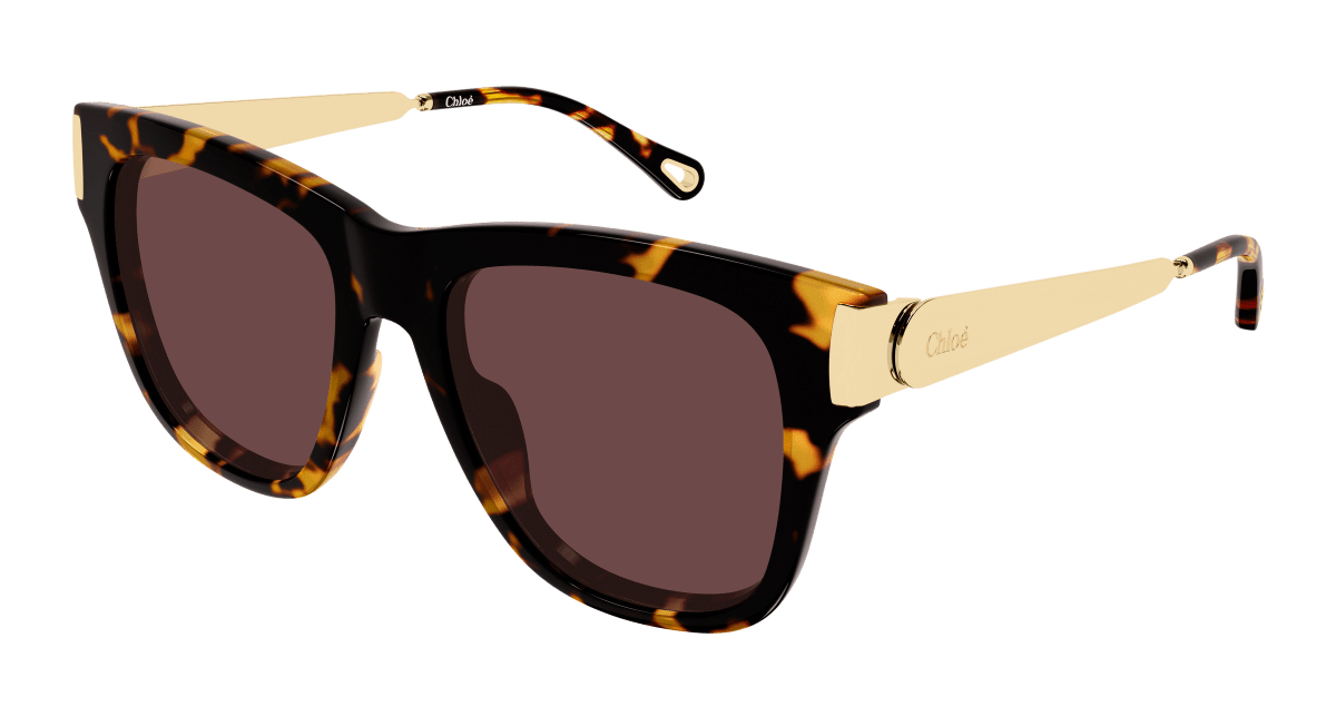 Chloé CH0349S Havana 003 889652645889