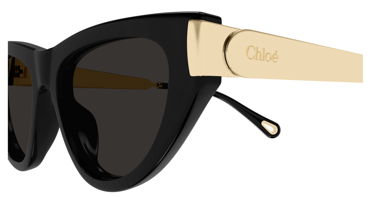 Chloé CH0350S Black 889652645902