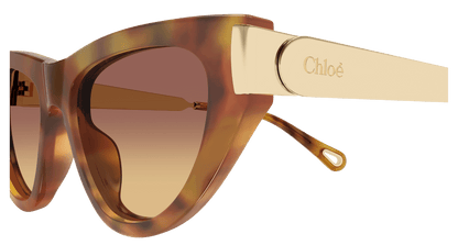 Chloé CH0350S Havana 002 889652645919