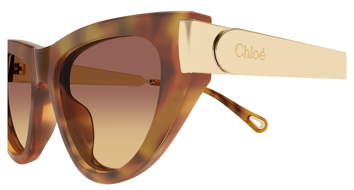 Chloé CH0350S Havana 002 889652645919