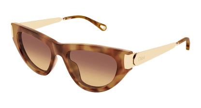 Chloé CH0350S Havana 002 889652645919