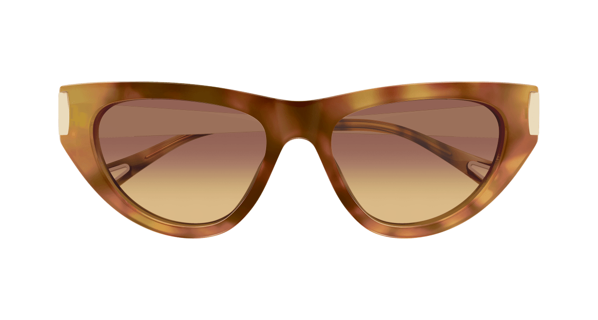Chloé CH0350S Havana 002 889652645919
