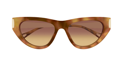 Chloé CH0350S Havana 002 889652645919