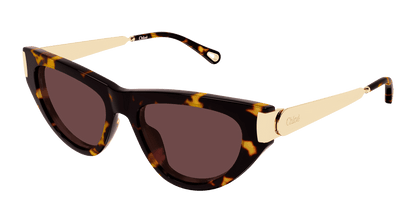 Chloé CH0350S Havana 003 889652645926