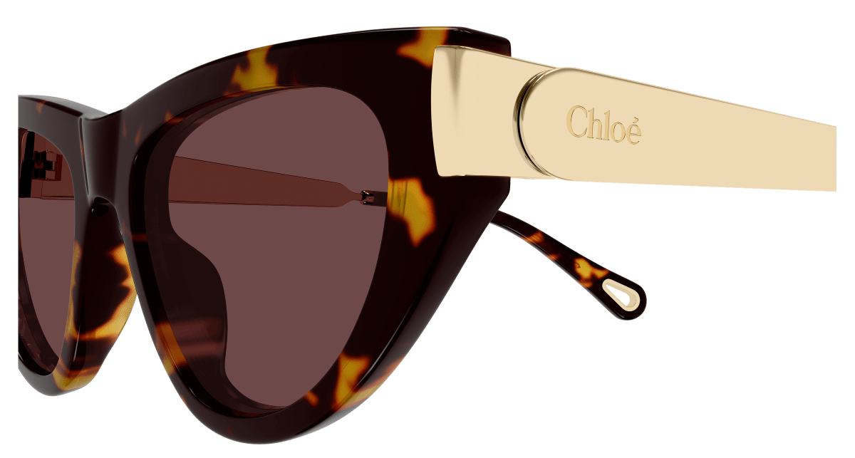 Chloé CH0350S Havana 003 889652645926