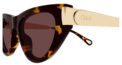 Chloé CH0350S Havana 003 889652645926