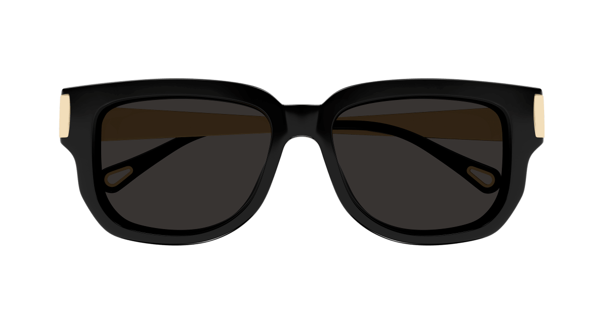 Chloé CH0351S Black 889652646145