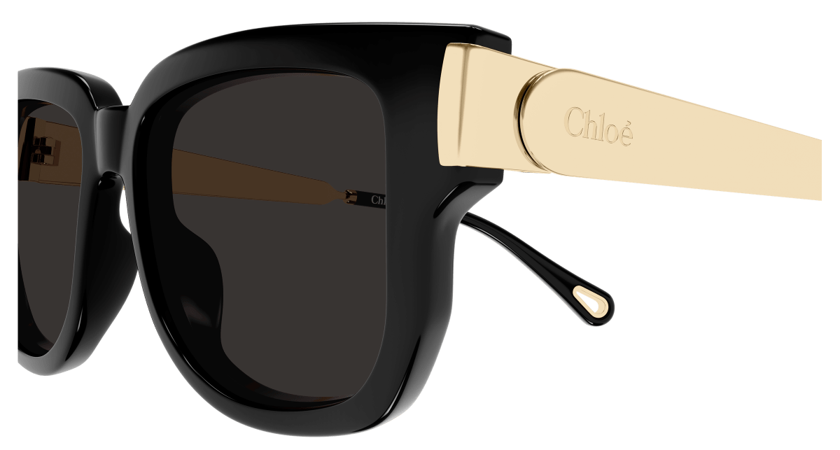 Chloé CH0351S Black 889652646145