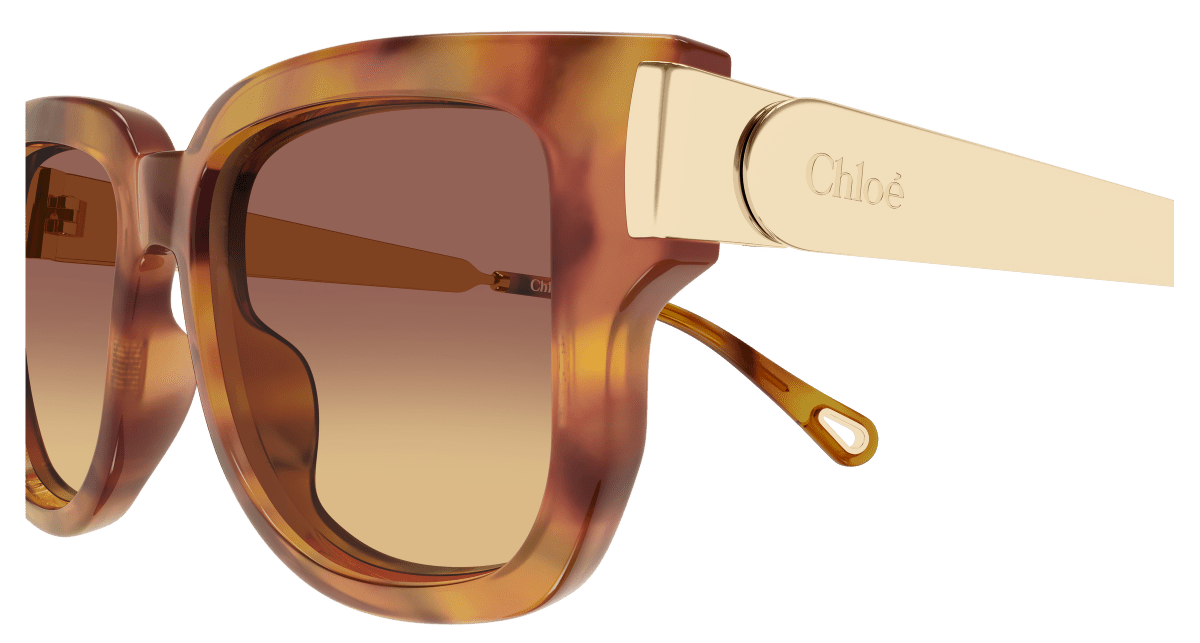 Chloé CH0351S Havana 002 889652646152