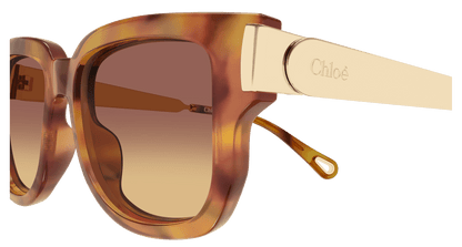 Chloé CH0351S Havana 002 889652646152