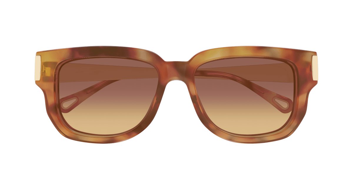 Chloé CH0351S Havana 002 889652646152