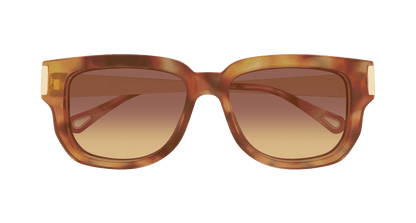 Chloé CH0351S Havana 002 889652646152