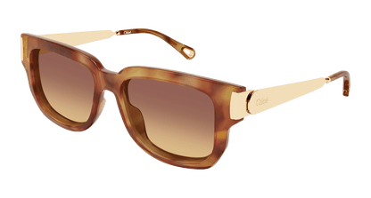 Chloé CH0351S Havana 002 889652646152