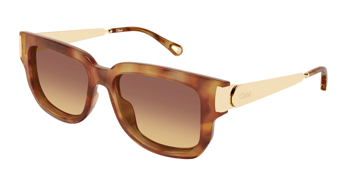 Chloé CH0351S Havana 002 889652646152