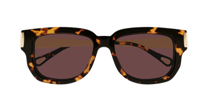 Chloé CH0351S Havana 003 889652646169