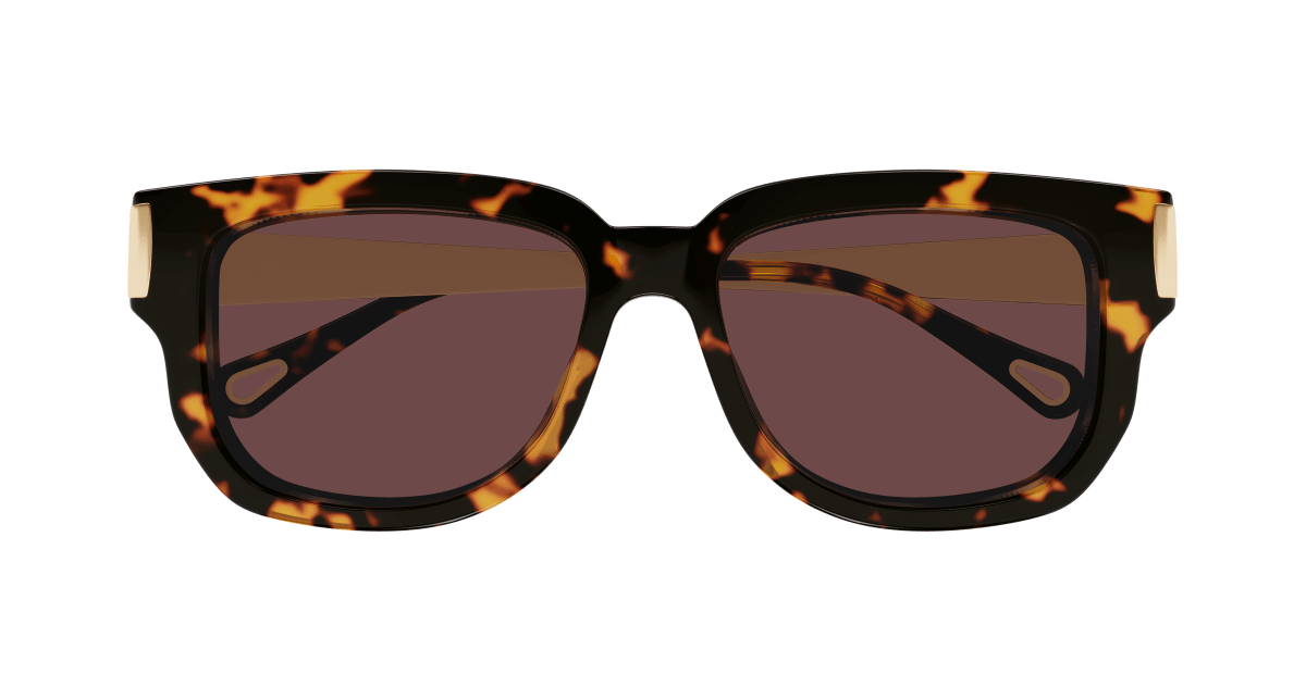 Chloé CH0351S Havana 003 889652646169