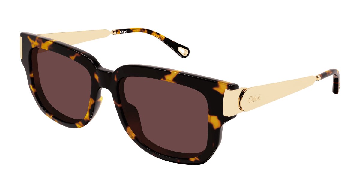 Chloé CH0351S Havana 003 889652646169