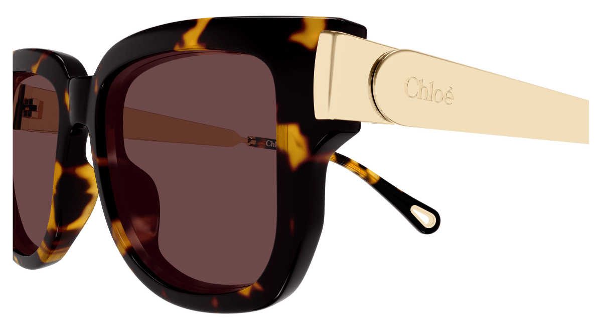 Chloé CH0351S Havana 003 889652646169