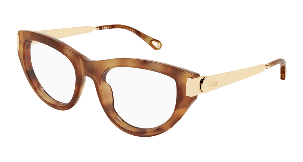 Chloé CH0352O Havana 889652645957
