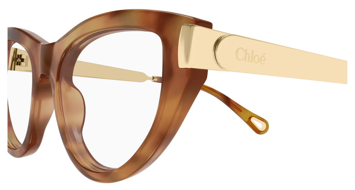 Chloé CH0352O Havana 889652645957