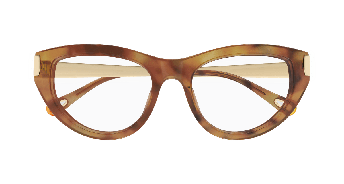 Chloé CH0352O Havana 889652645957