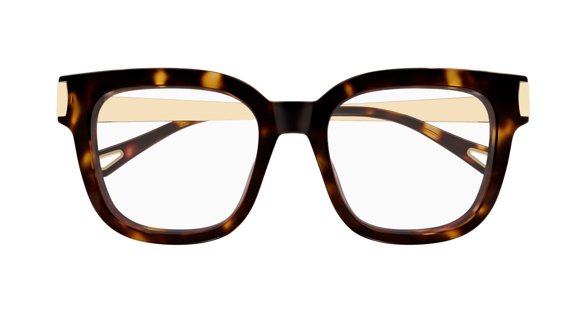 Chloé CH0353O Havana 889652646008