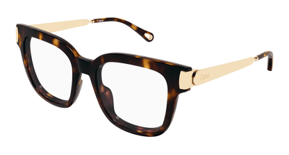 Chloé CH0353O Havana 889652646008