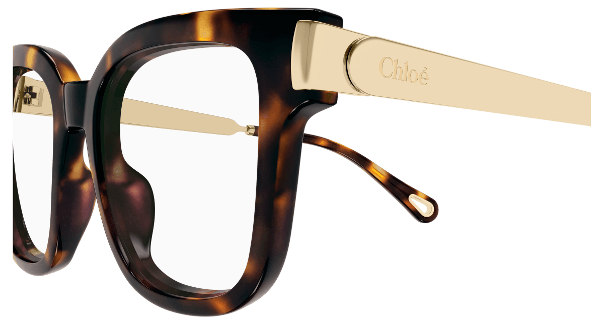 Chloé CH0353O Havana 889652646008