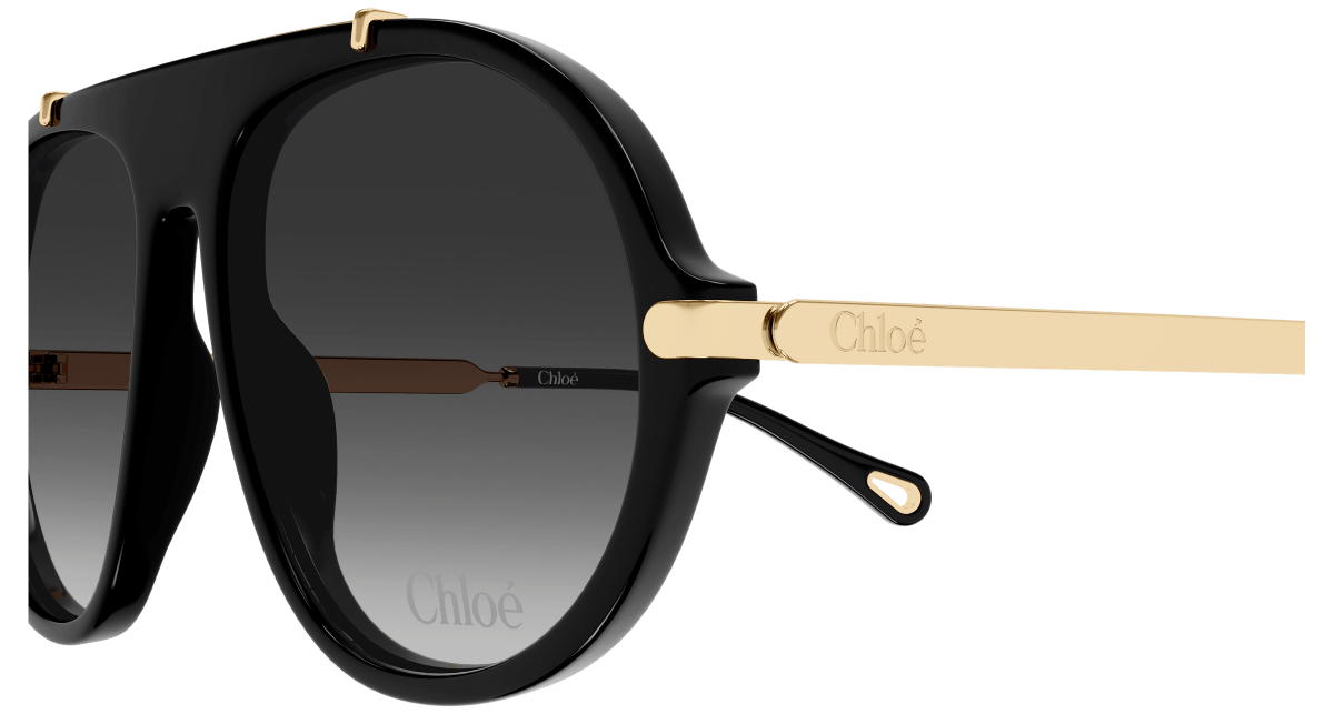 Chloé CH0357S Black 889652646220