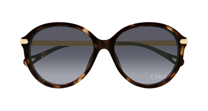 Chloé CH0358SK Havana 002 889652646282