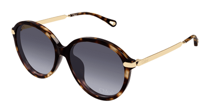 Chloé CH0358SK Havana 002 889652646282
