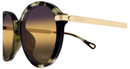 Chloé CH0358SK Havana 003 889652646299