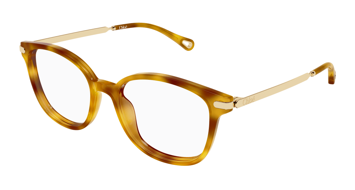 Chloé CH0359O Havana 889652646343