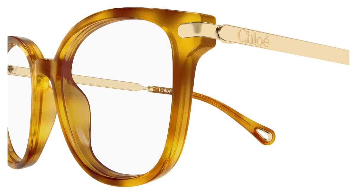 Chloé CH0359O Havana 889652646343
