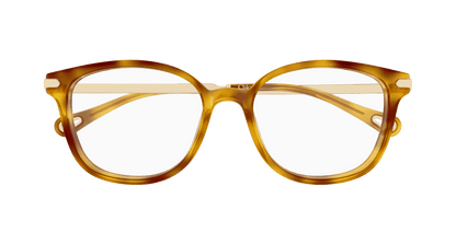 Chloé CH0359O Havana 889652646343