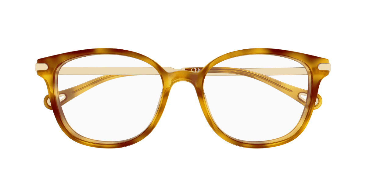 Chloé CH0359O Havana 889652646343
