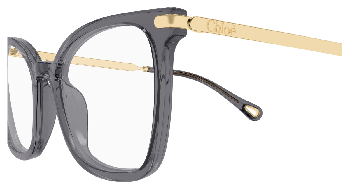 Chloé CH0360O Grey 889652646374