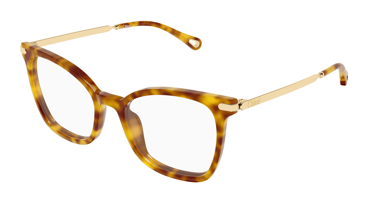 Chloé CH0360O Havana 889652646381