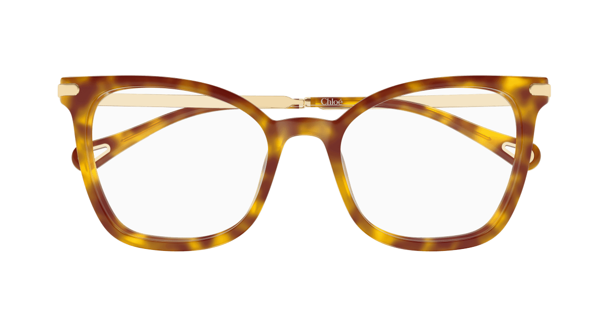 Chloé CH0360O Havana 889652646381