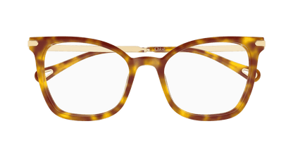 Chloé CH0360O Havana 889652646381