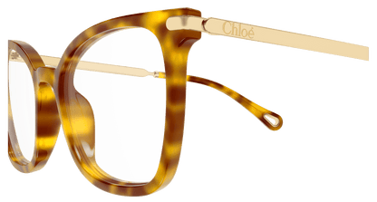Chloé CH0360O Havana 889652646381