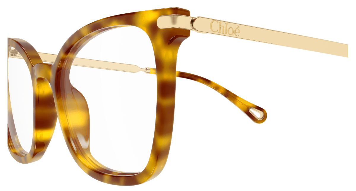Chloé CH0360O Havana 889652646381