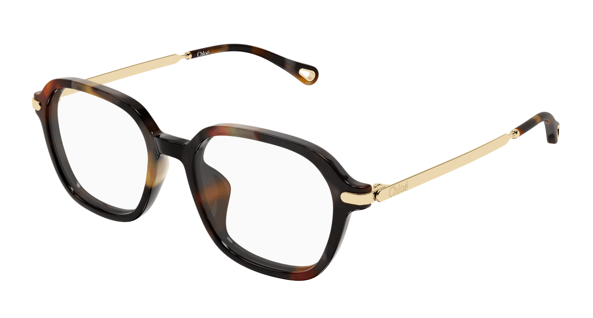 Chloé CH0361OA Havana 889652646428