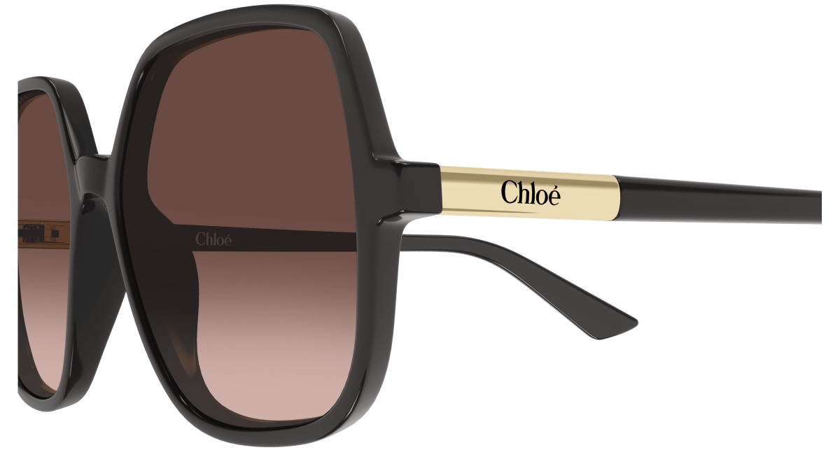 Chloé CH0362S Grey 889652646473