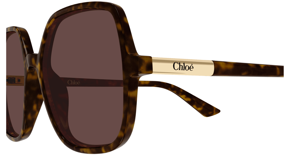 Chloé CH0362S Havana 002 889652646466