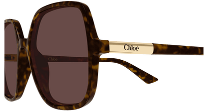 Chloé CH0362S Havana 002 889652646466