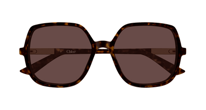 Chloé CH0362S Havana 002 889652646466