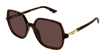 Chloé CH0362S Havana 002 889652646466