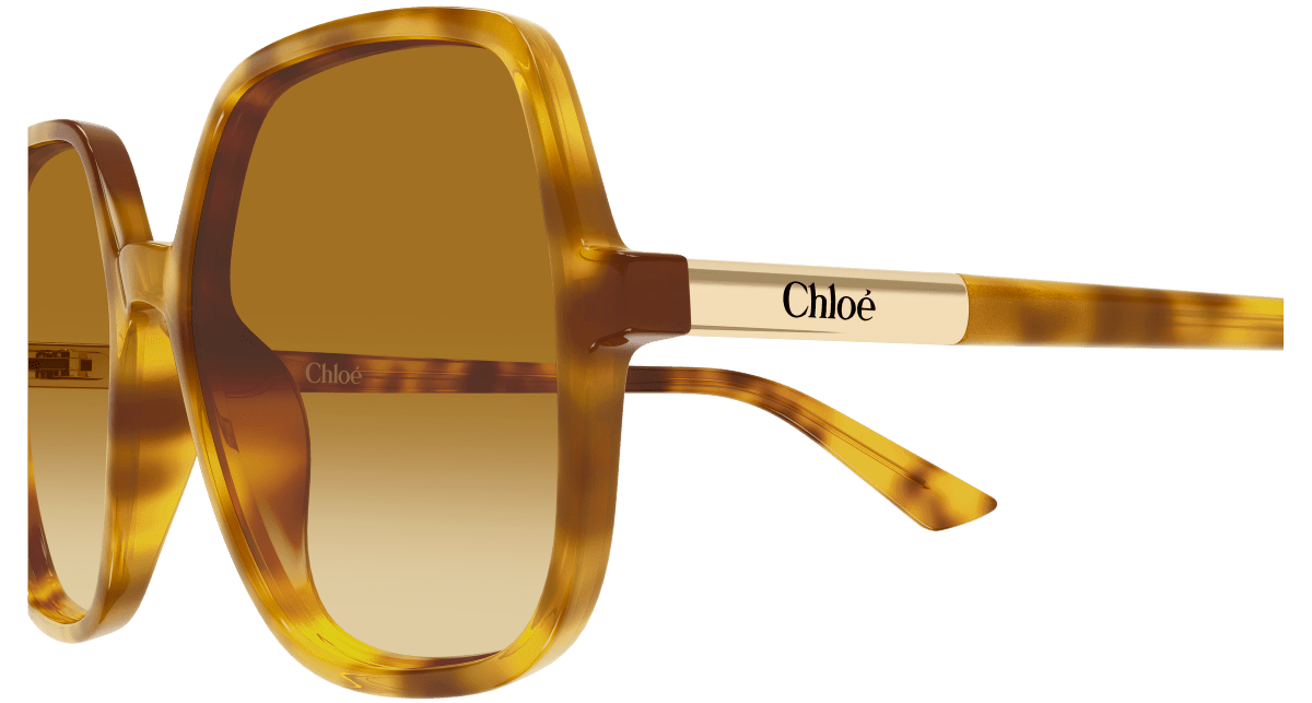 Chloé CH0362S Havana 004 889652646480